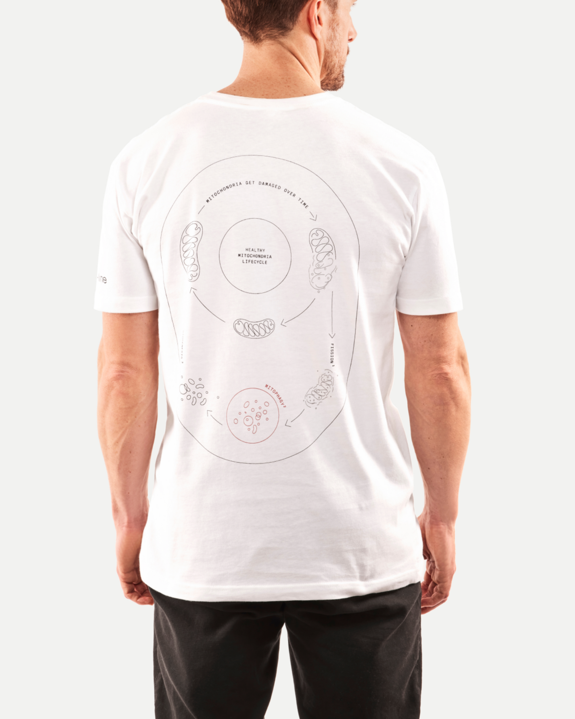 Timeline T-shirt